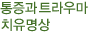 ������ Ʈ��츶 ġ������